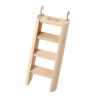 Carno Wooden Ladder